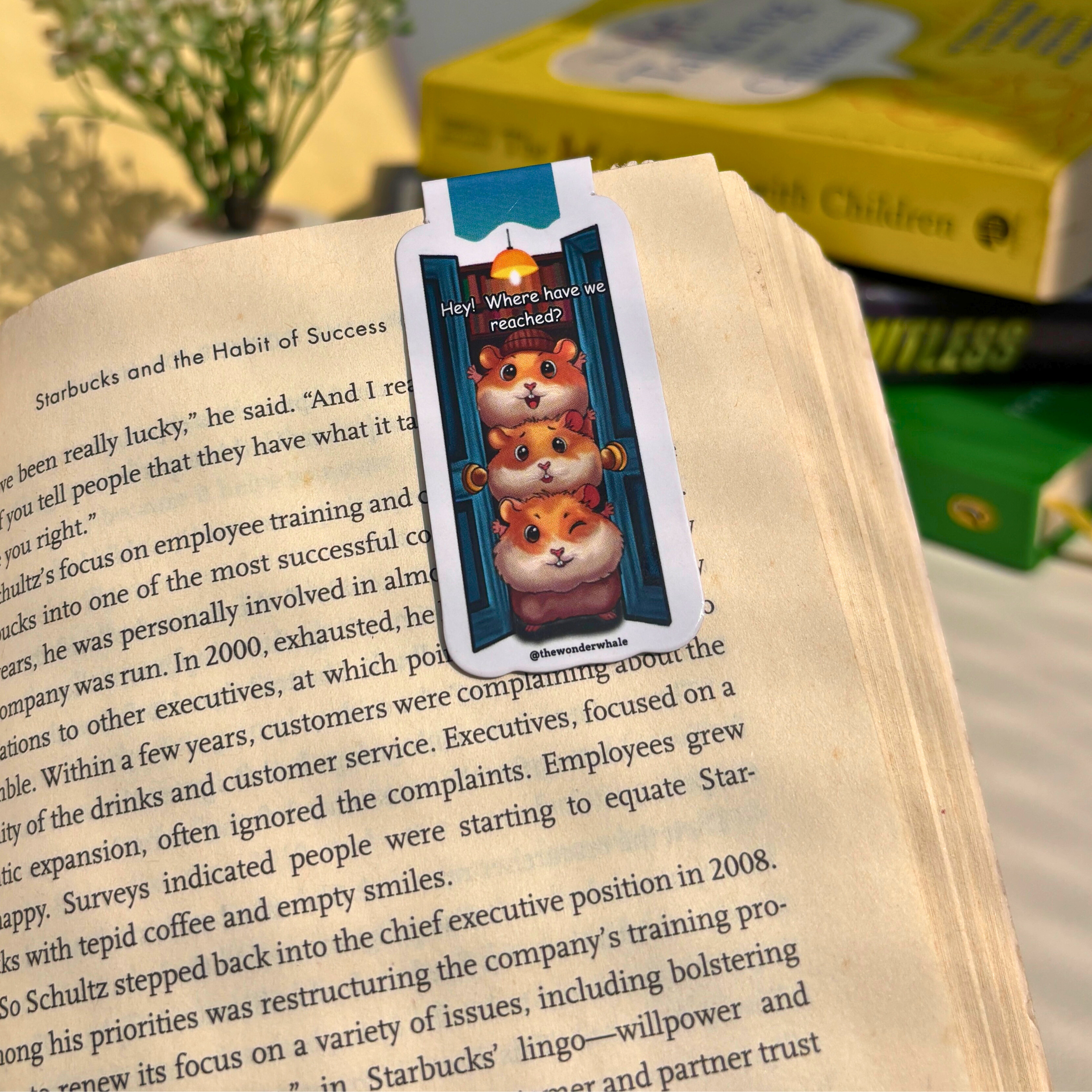 Little Explorers Bookmark Set (Pack of 3)