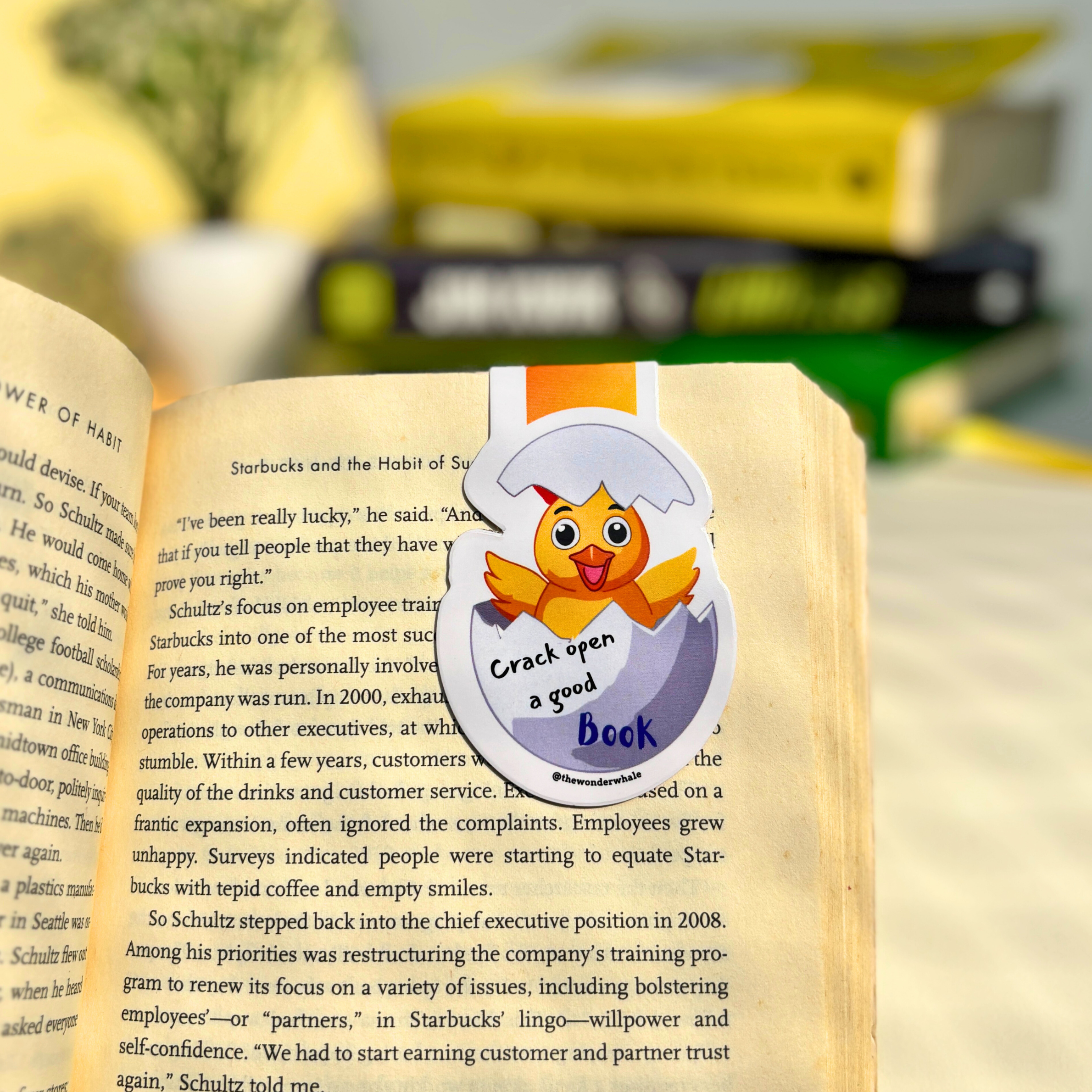 Little Explorers Bookmark Set (Pack of 3)